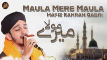 Maula Mere Maula | Hafiz Kamran Qadri | Naat | Iqra