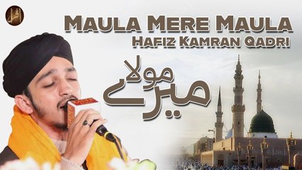 Maula Mere Maula | Hafiz Kamran Qadri | Naat | Iqra