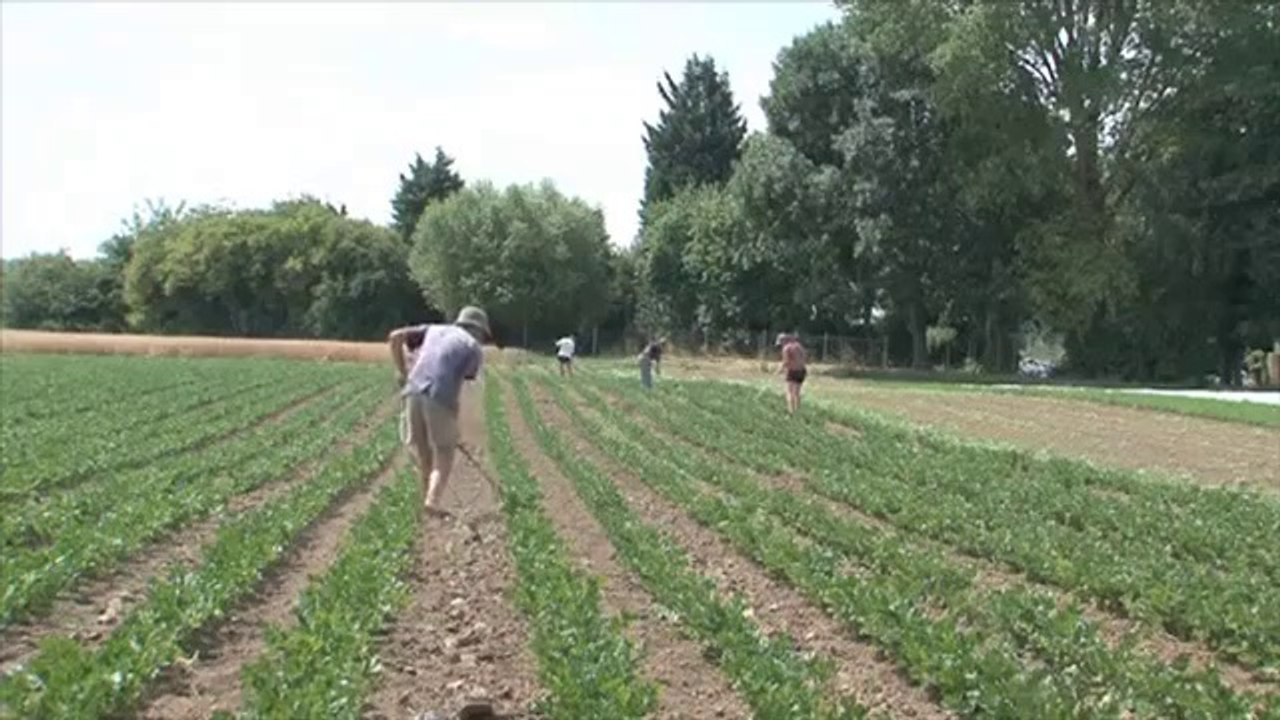 "La face bio de la république" Un film de Thierry Derocles - Bande annonce