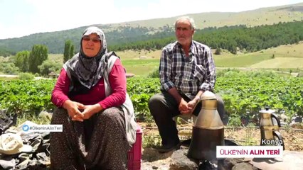 Ülke'nin Alın Teri - Aliye Şahan - 25 Ekim 2020