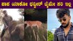 ಹುಲಿ ನೋಡಿ ಕೆಟ್ಟ, ಆನೆ ಏರಿ ಕೆಟ್ಟ ಡಿ ಬಾಸ್ ಅಭಿಮಾನಿ ಧನ್ವೀರ್ | Filmibeat Kannada