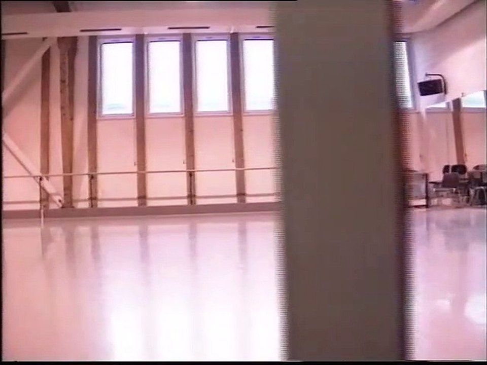 Film: MAURICE, UN PORTRAIT DE BEJART