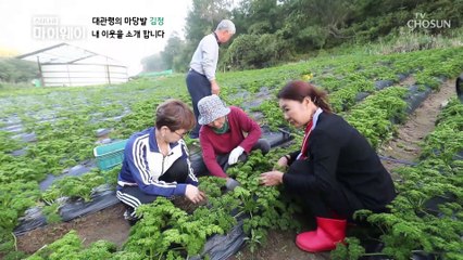 동네 이웃이 무형문화재...? 동네 클라스 뭐야 ⧙ㅎㄷㄷ⧘