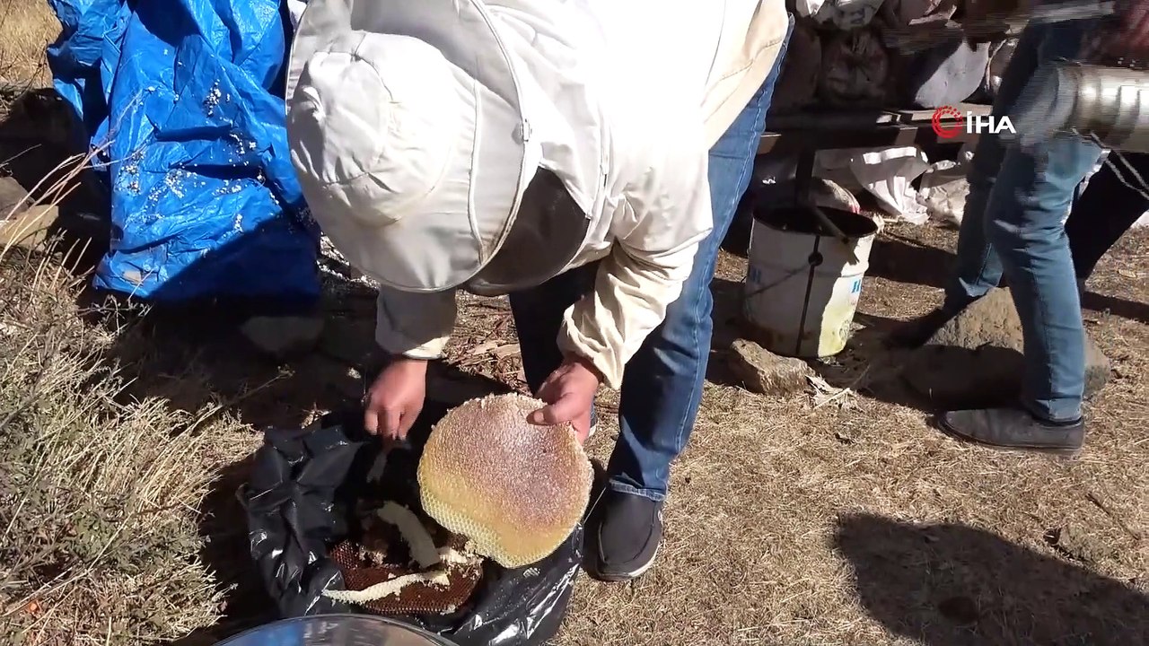 Dünyaca Ünlü Bitlis’in Karakovan Balının Hasadına Başlandı