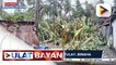#UlatBayan | Bagyong #QuintaPH, limang beses nag-landfall sa Oriental Mindoro
