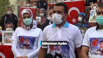 Diyarbakır annelerinden HDP Milletvekili Meral Danış Beştaş'a tepki