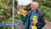 Anne's Community Garden celebrates 25 years in Heeley