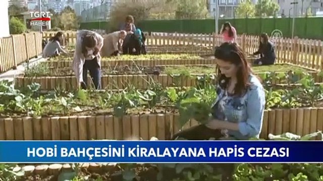 Hobi Bahçesini Kiralayana Hapis Cezası