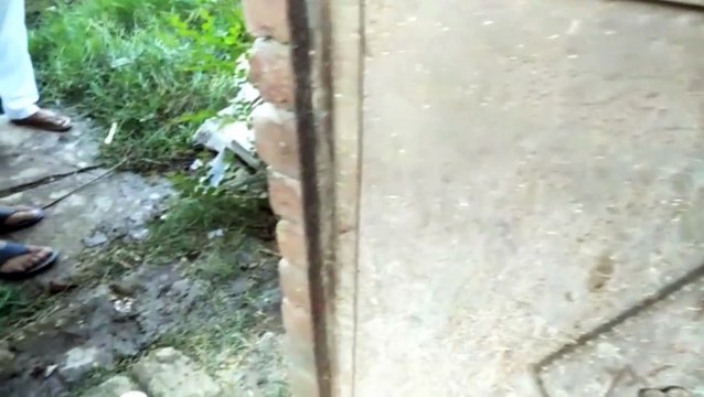 मोहल्ला कल्पना नगर में बीती रात को अज्ञात चोरों ने दो भैंसों को किया चोरी, क्षेत्र में मचा हड़कंप