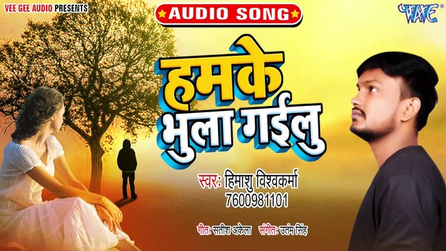 Hamake Bhula Gailu - Hamake Bhula Gailu - Himansh yadav