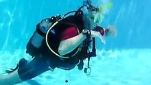 Scuba Instructor training - fin pivot demonstration