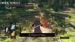 Dark Souls Remastered PS4 #34. DLC Artorias de abismo - BOSS CABALLERO ARTORIAS - CanalRol 2020
