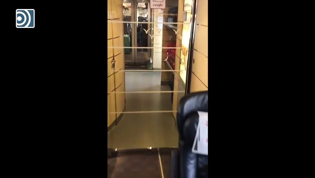 Así protege Renfe del coronavirus a sus pasajeros