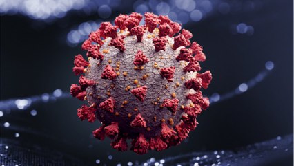 Average New U.S. COVID Infections Hit Record