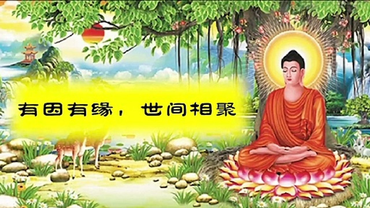 【师父说的那些佛教故事】结缘易度