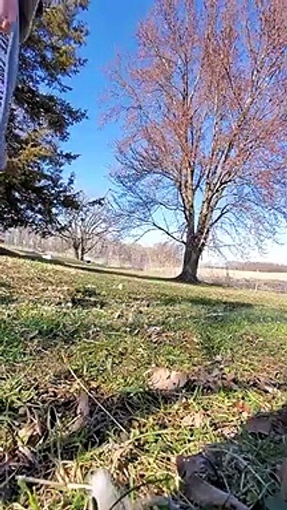 Fox steals go pro,Fox vole devenir pro