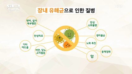 ★꿀팁★ 유익균과 유해균의 적정 비율 알려드려요~