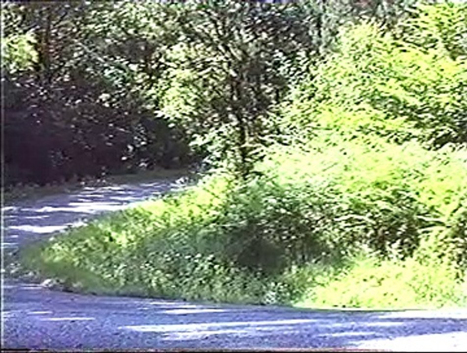 Rallye de BUSSET 1995-2