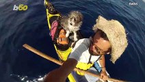 This Adorable Rescued Stray Dog Joins Spanish Kayaker on Seafaring Adventure!