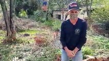 Morador do Bairro Morumbi reclama de mato e focos de Dengue em imóvel abandonado