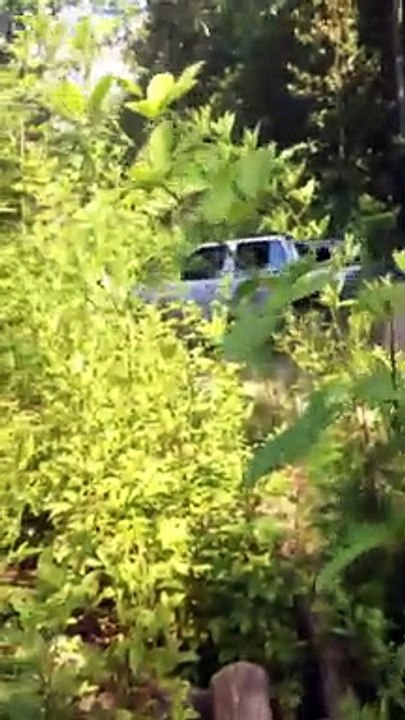 Dudes Take Converted Rally Buggy for a Test Spin