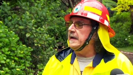 SES receives more than 500 calls for help