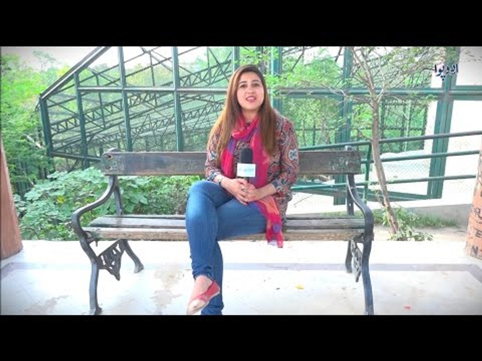 وہ کونسی چیز ہے جو ہمیں نیچے سے اوپراور پھر نیچ...