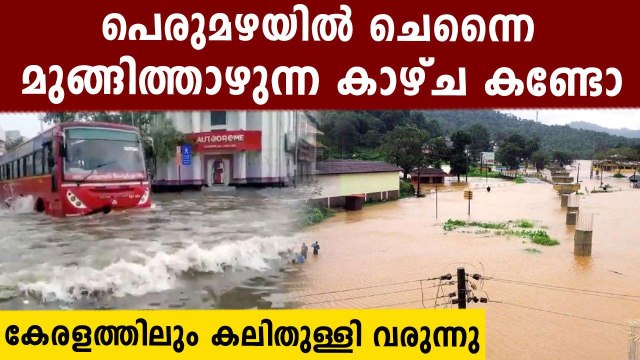 Chennai Receives Heaviest Rainfall in a Day in Last 5 Years, Several Areas Waterlogged