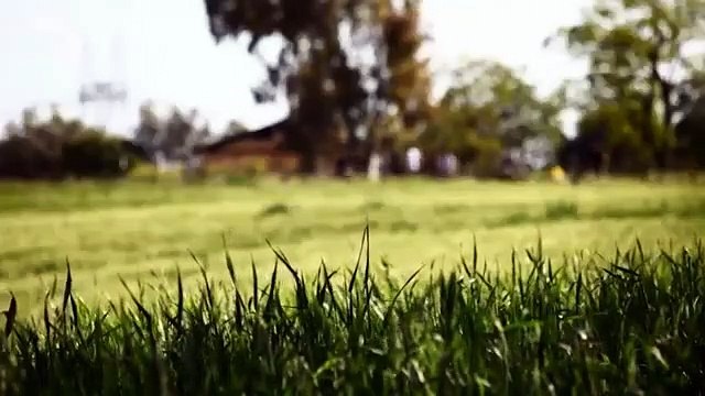 Autre LYON 03 Quadral Immobilier