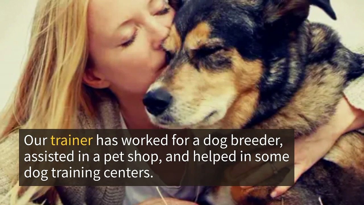 Dog Obedience Class Singapore video Dailymotion