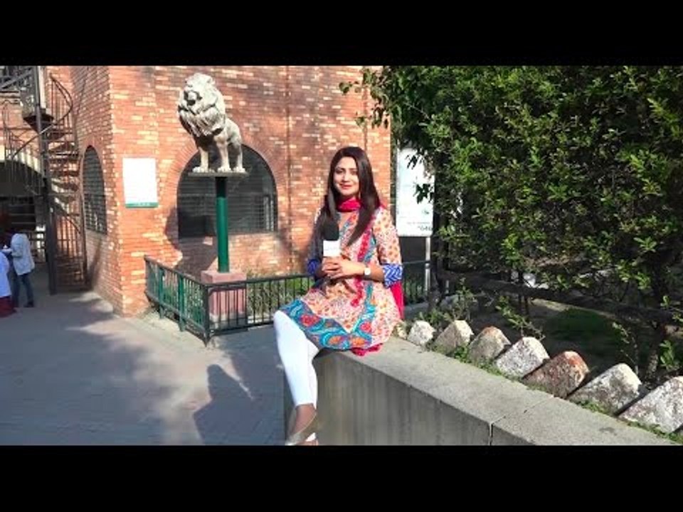 "پھٹیچر" کسے کہتے ہیں؟ جانئیے عوام کے انتہائی دلچسپ جواب