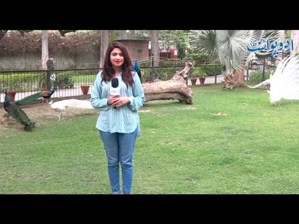 اکرم کے مور نے اسلم کے باغ میں انڈا دیا تو انڈے...