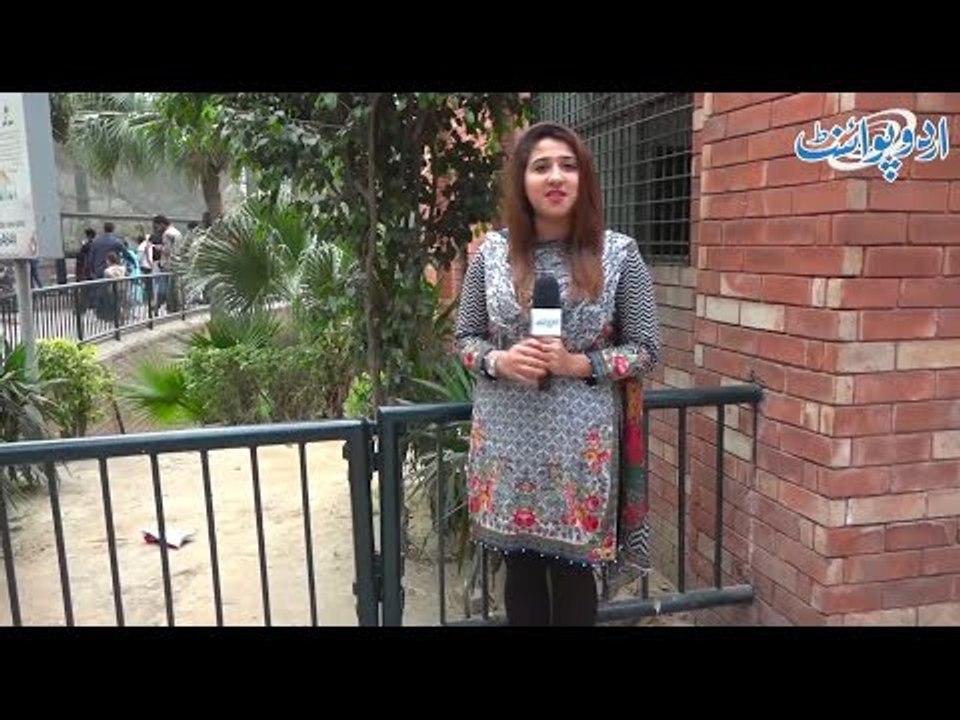 اندھیرے کمرے میں پہلے موم بتی جلائیں گے یا لالٹین؟ لوگوں کے انتہائی دلچسپ جواب!