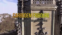 Les meilleurs services de déménagement à Fribourg sont chez  CARBODEM |Professionnel Fribourg 022 518 01 99
