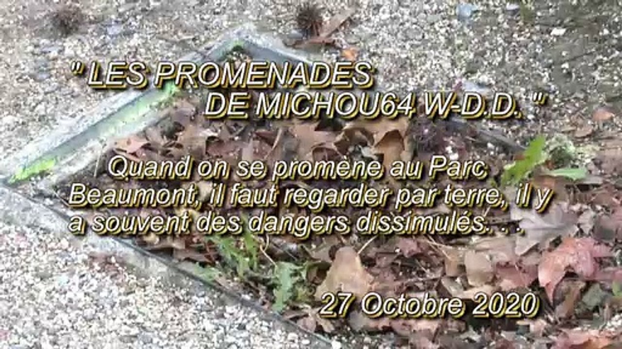 LES PROMENADES DE MICHOU64 W-D.D. - 27 OCTOBRE 2020 - PAU - IL EST DES FOIS DAGEREUX DE SE PROMENER AU PARC BEAUMONT