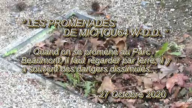 LES PROMENADES DE MICHOU64 W-D.D. - 27 OCTOBRE 2020 - PAU - IL EST DES FOIS DAGEREUX DE SE PROMENER AU PARC BEAUMONT