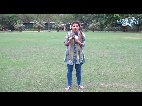 اگر ایک ہاتھی سوئمنگ پول میں گر جائے گا تو باہر کیسے نکلے گا؟