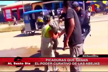 Picaduras que sanan: El poder curativo de las abejas