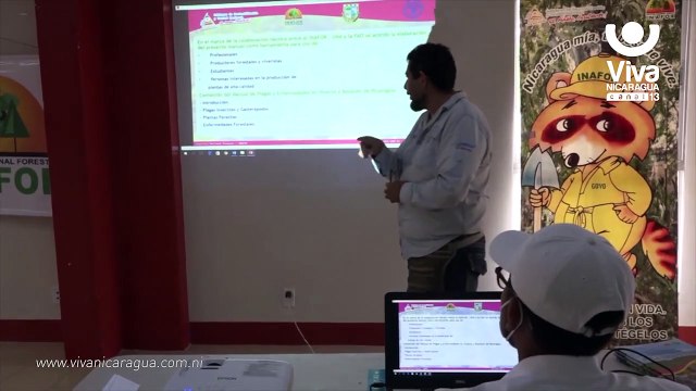 Emprendedores de Bluefields cuentan con efectivo manual sobre plagas de madera