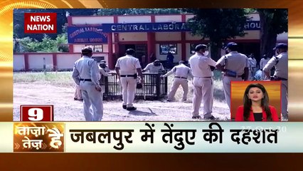 Taza hai tez Hai: Watch the latest news with fast speed