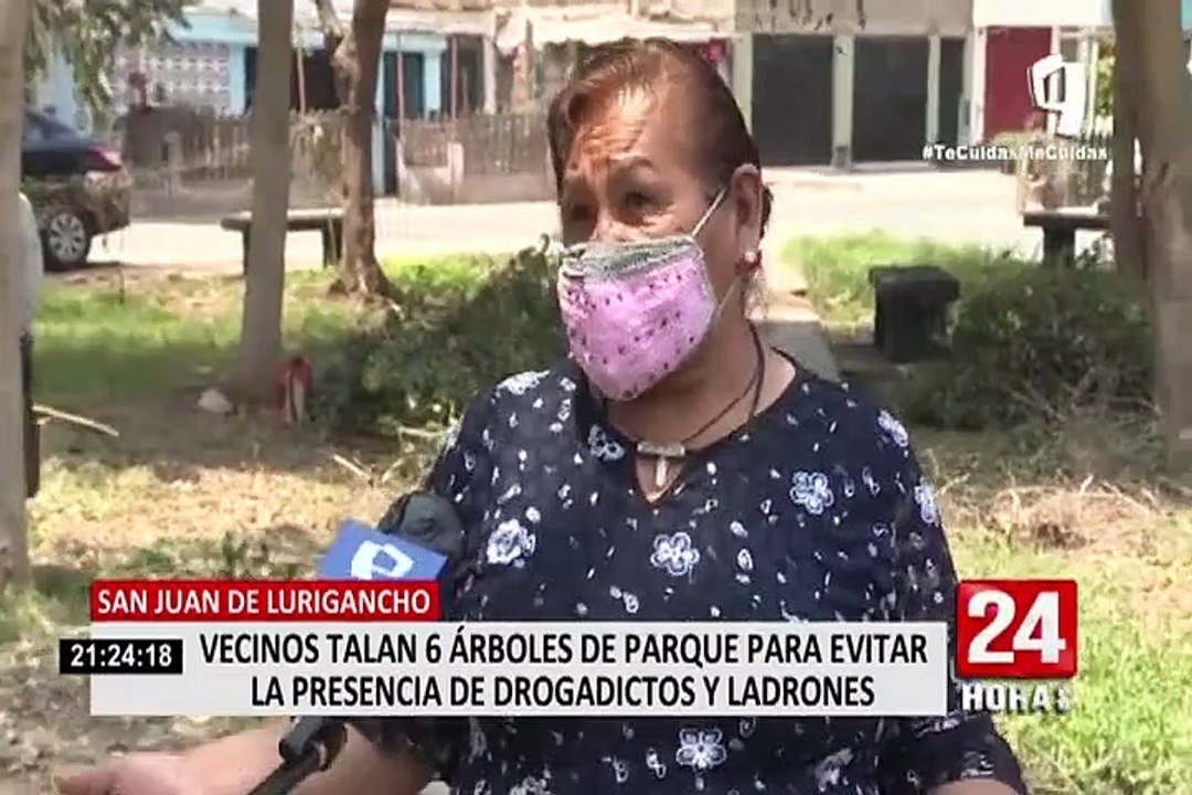 ¡Atentado a la naturaleza! Vecinos talaron 6 árboles para evitar la presencia de delincuentes en SJL