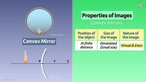 Convex Mirror - Image characteristics _ Reflection and Refraction