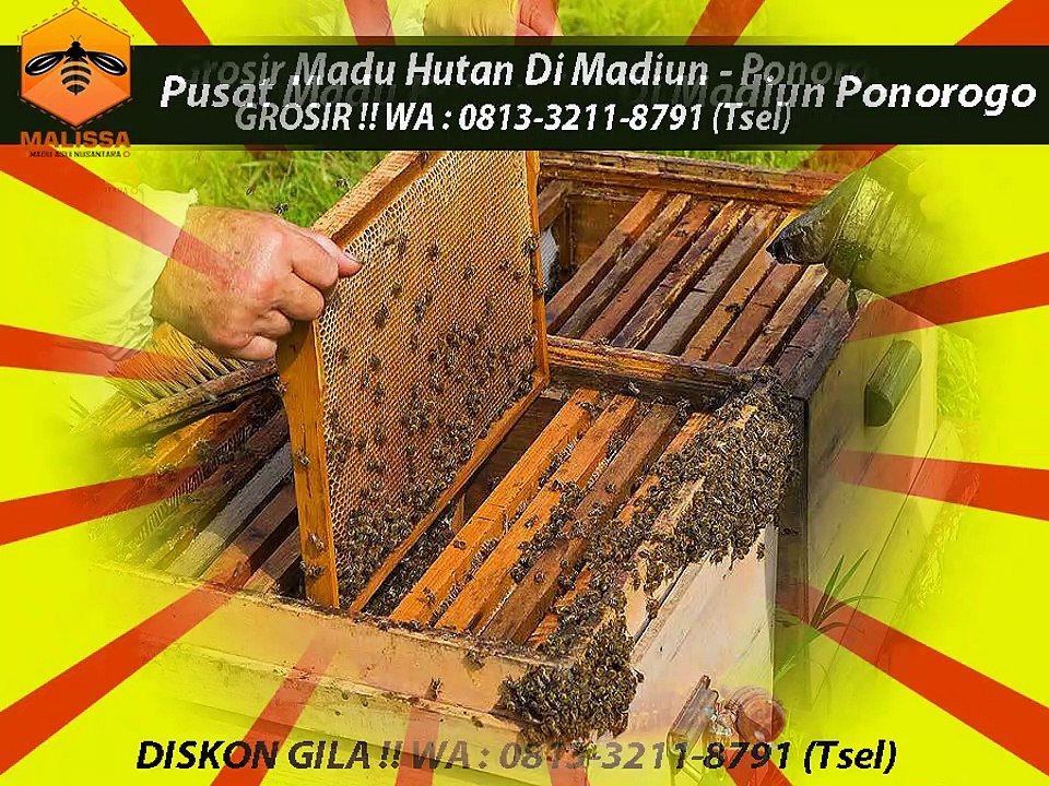 GROSIR !! WA : 0813-3211-8791 (Tsel)	Distributor Penjual Madu Asli Di Madiun Ponorogo By MALISSA,