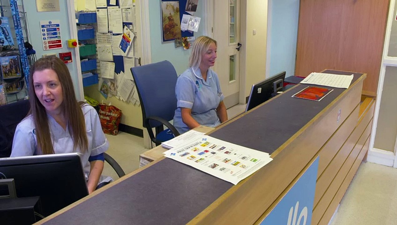 Inside Animal A&E S01E01 (7th September 2020)