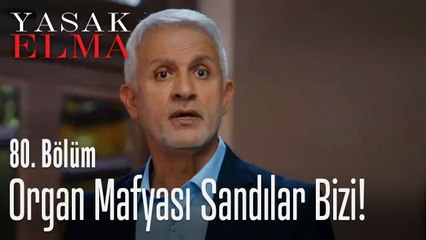 Organ mafyası sandılar bizi - Yasak Elma 80. Bölüm