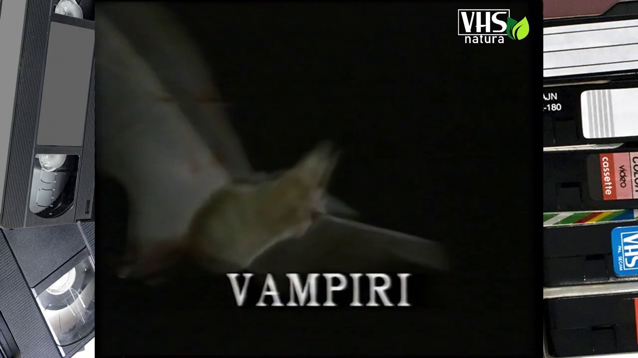 VAMPIRI