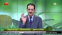 فوائد القرنفل لعلاج ضعف وتشوه الحيوانات المنوية مع خبير الاعشاب حسن خليفة