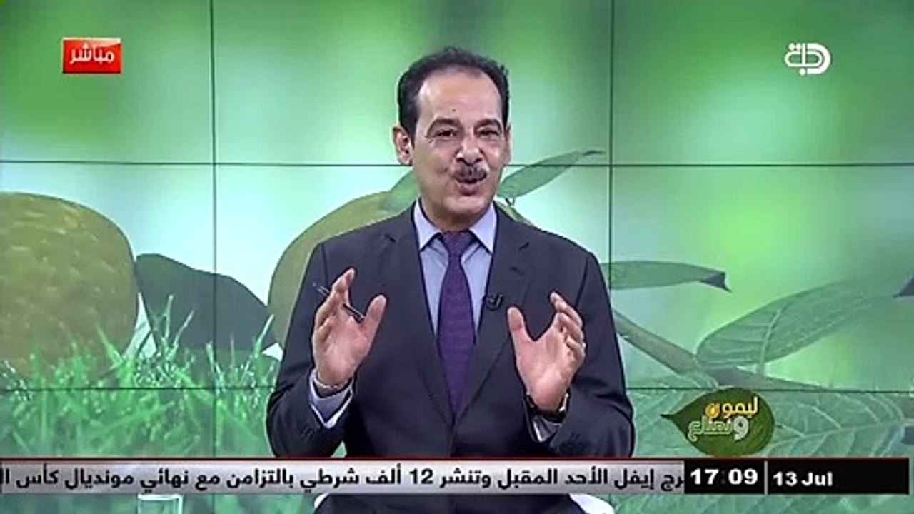 فوائد عشبة القيصوم لعلاج أكثر الأمراض شيوعا مع خبير الاعشاب حسن خليفة