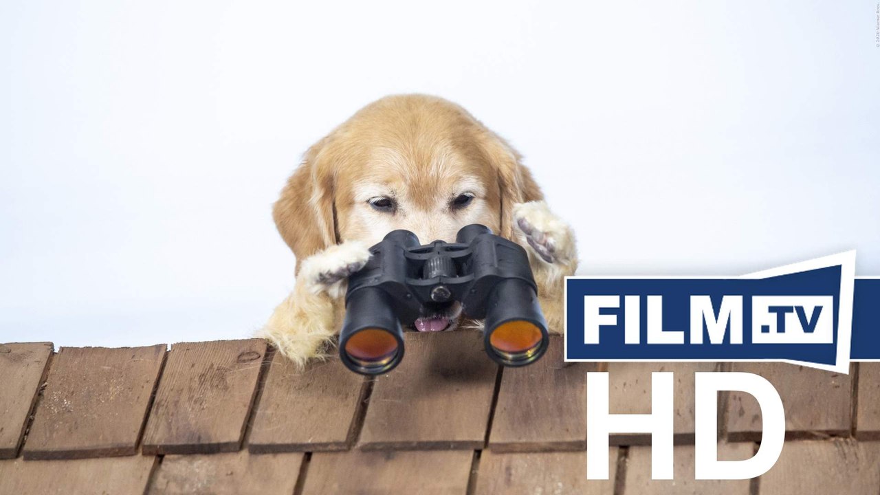 Cats & dogs 3: pfoten vereint! trailer deutsch german (2020)