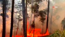 Mersin'de orman yangını